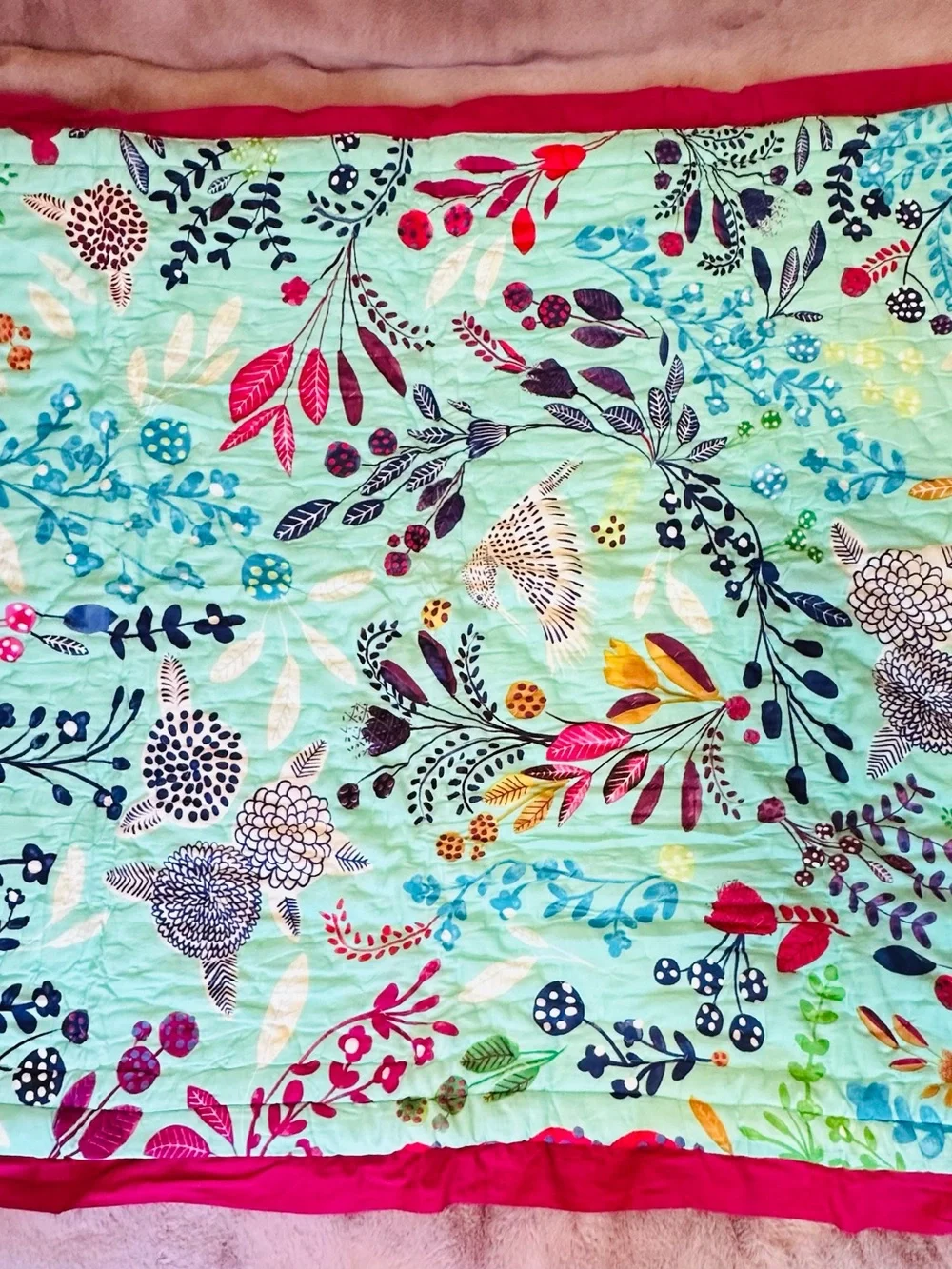 Anthropologie baby toddler